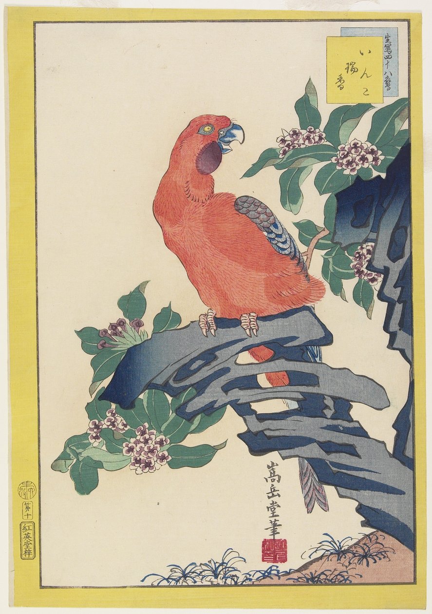 Rosa Papagei auf Felsen von Nakayama Sugakudo