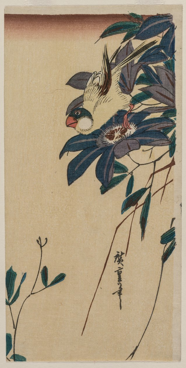 Kernbeißer und Clematis von Utagawa Hiroshige