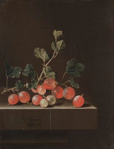 Stachelbeeren auf einem Tisch