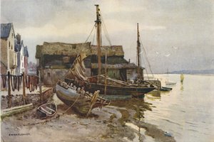 Die Exe bei Topsham