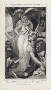 Illustration für Shakespeares Ein Sommernachtstraum