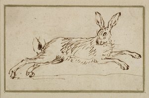 Ein Hase läuft, mit aufgerichteten Ohren