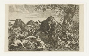 Hundejagd auf ein Wildschwein