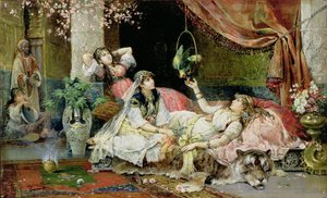 Im Harem
