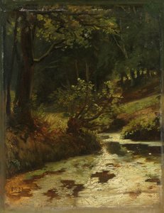 Bach im Wald bei Oosterbeek