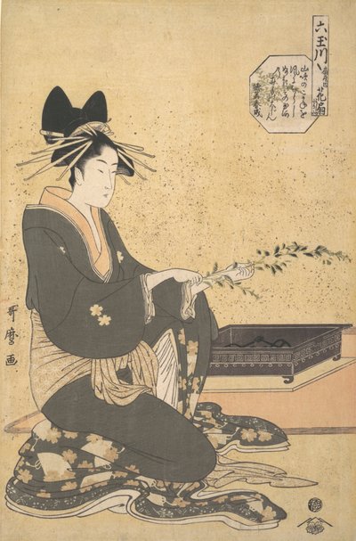 Die Oiran Hanaogi von Ogiya, aus der Serie „Sechs Juwelenflüsse“ Mutamagawa, ca. 1795-96 von Kitagawa Utamaro
