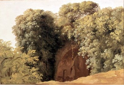 Ruinen einer Arkade mit Grasbüscheln von Pierre Henri de Valenciennes