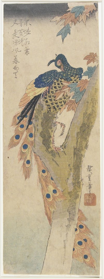 (Pfau auf Ahornbaum), frühes 19. Jahrhundert von Utagawa Hiroshige