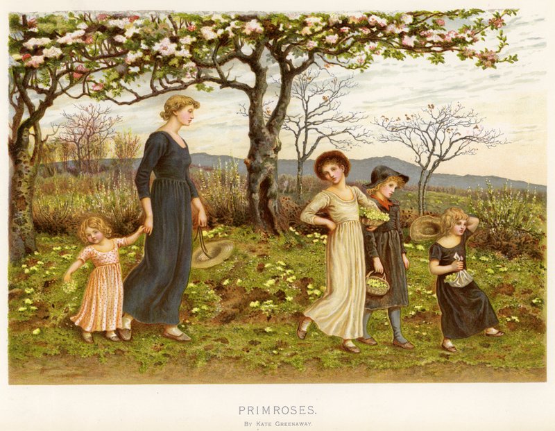 Primeln von Kate Greenaway